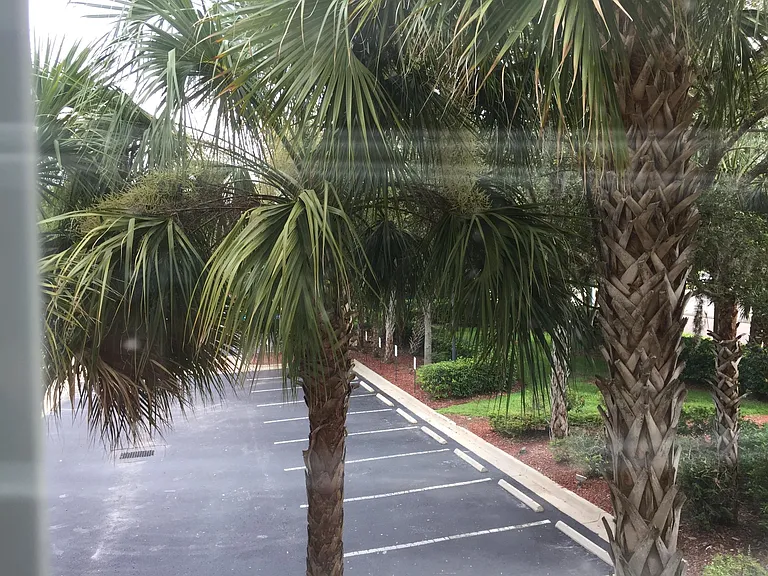 View from Bedroom