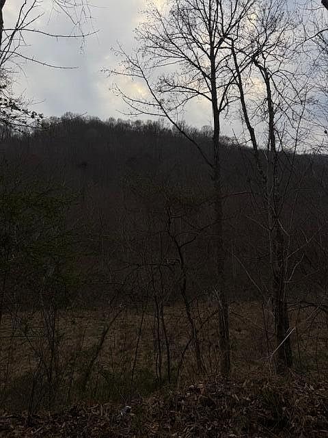 1st image of 9999 Paint Gap Rd