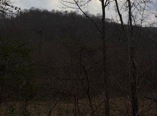 9999 Paint Gap Rd, Flat Lick, KY 40935