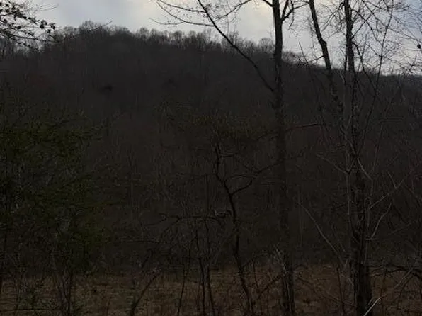 9999 Paint Gap Rd, Flat Lick, KY 40935