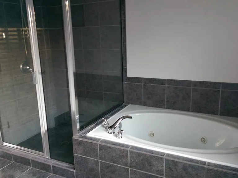Master bathroom tub and shower