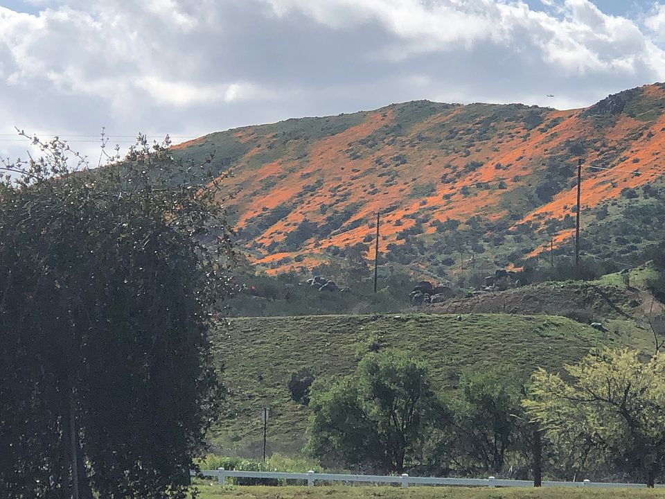 1st image of 17033 La Mina Ln
