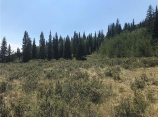 2487 River Dr, Fairplay, CO 80440