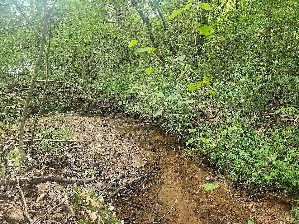 Creek