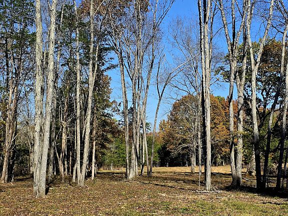 5th image of 0 Kedron Rd Lot 1