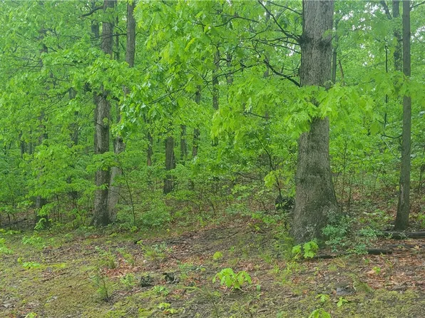 0 Driftwood Ln, James Creek, PA 16657