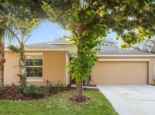 10260 Strawberry Tetra Dr, Riverview, FL 33578