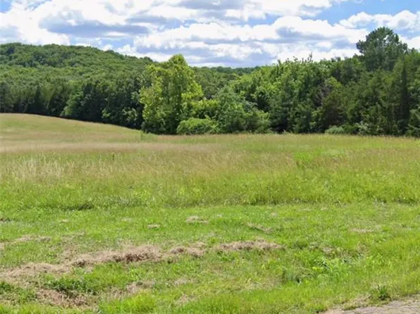 800 Woodlawn Dr, Farmington, MO 63640