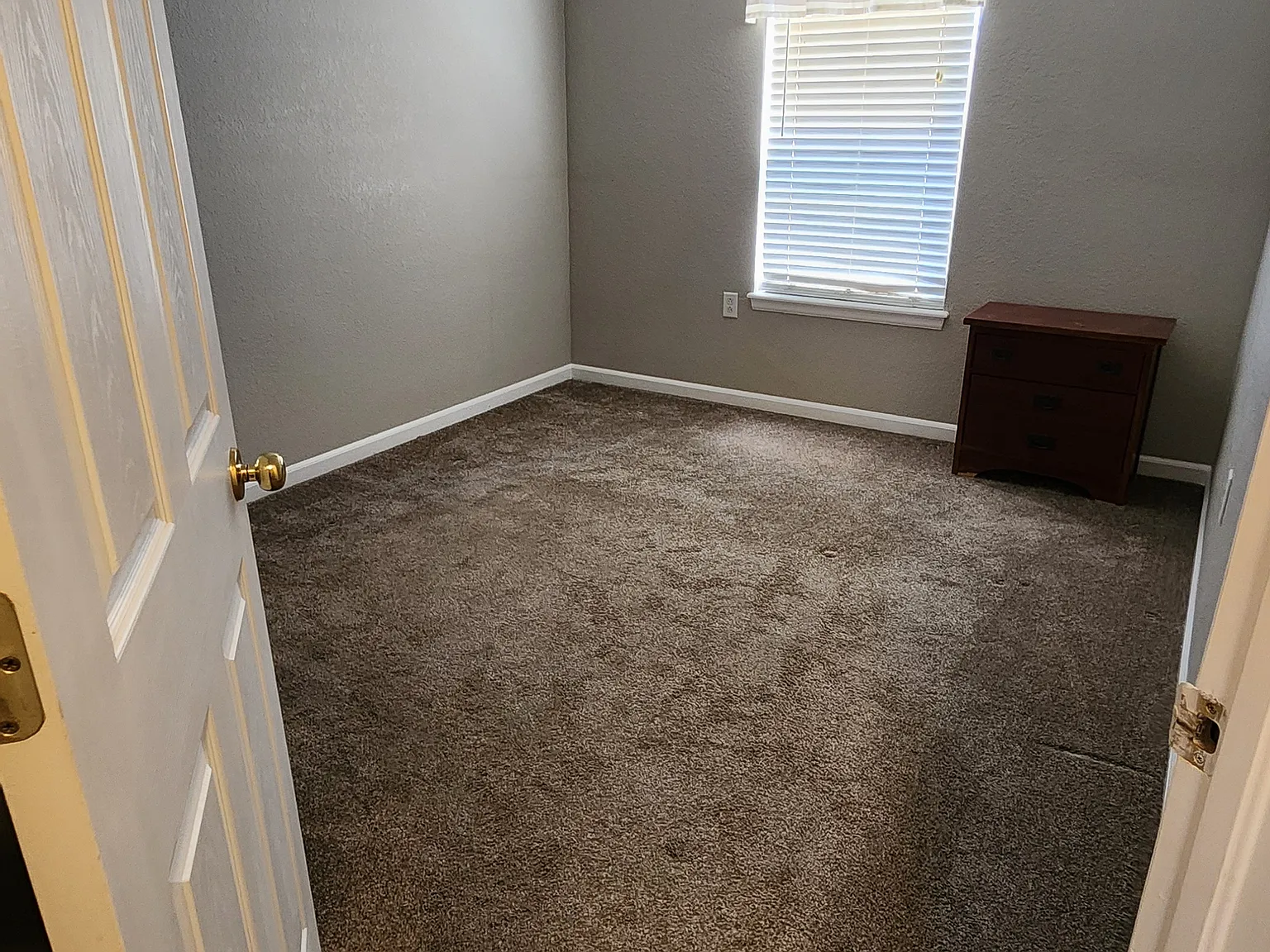 1493 Red Peak Dr — Photo 3