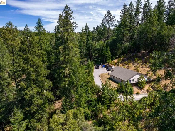 397 Washington Irving Dr, Colfax, CA 95713