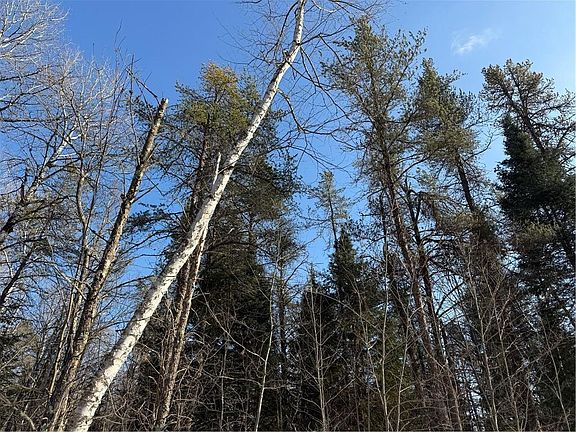 4th image of Lot 66 Hickory Court