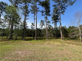 17 Shorebird Way, Brunswick, GA 31523