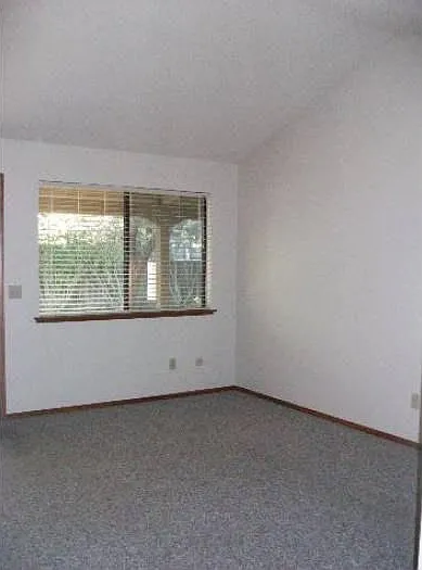 1 bed, $1,850 — Photo 4