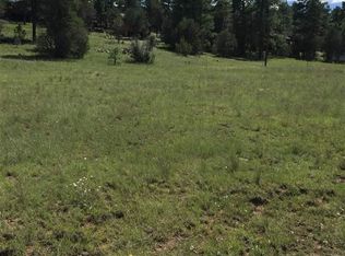 14 Stevens Rd, Reserve, NM 87830