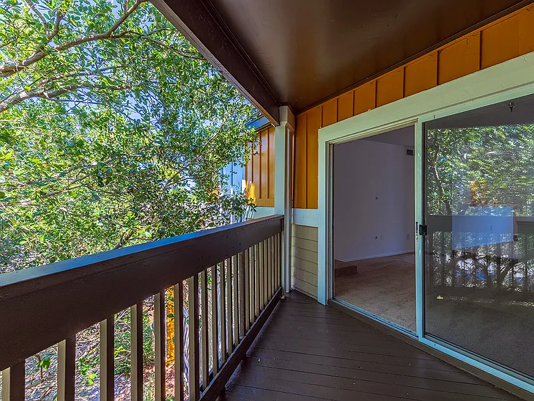 Palm Cove Apartments — Photo 29