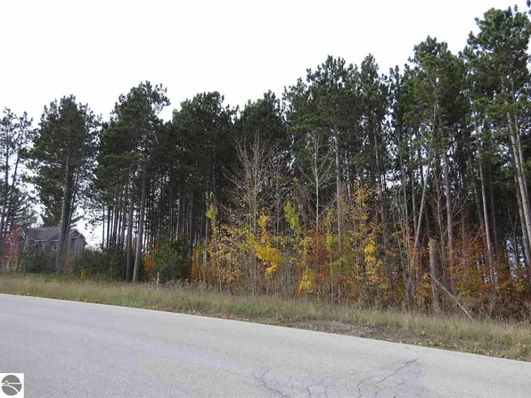 LOT 77 Eden St, Kingsley, MI 49649