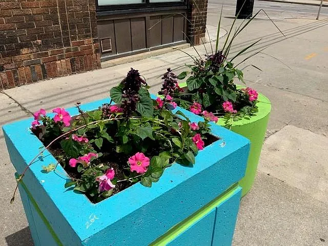 Spring Flowers outside apartment building