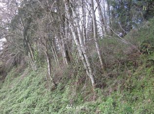 0 Olequa Dr, Vader, WA 98593