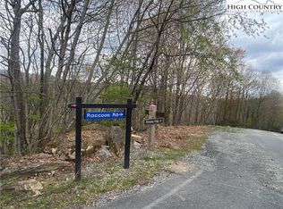 107 Raccoon Rd, Banner Elk, NC 28604