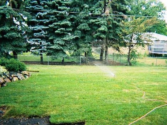 Newly sodded backyard with plenty of room to roam