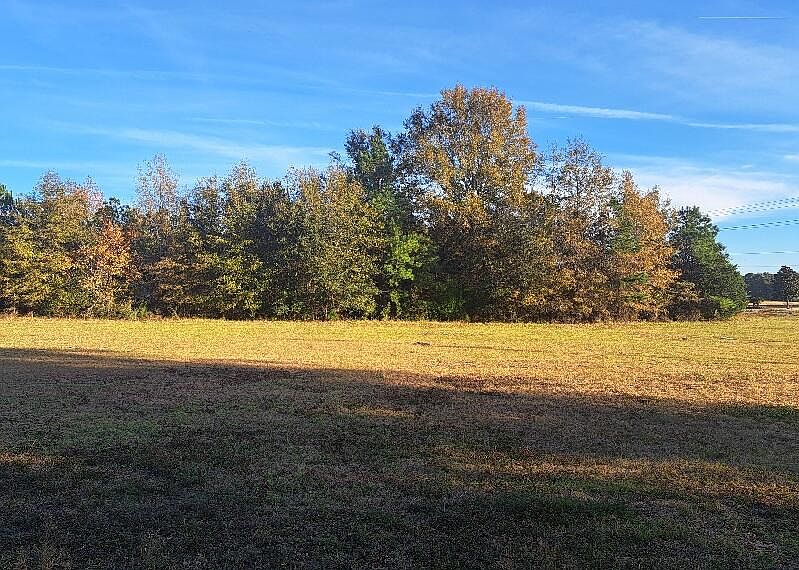 2nd image of 1 Joby Ln