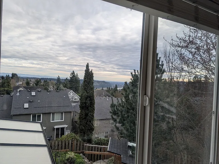 View from office