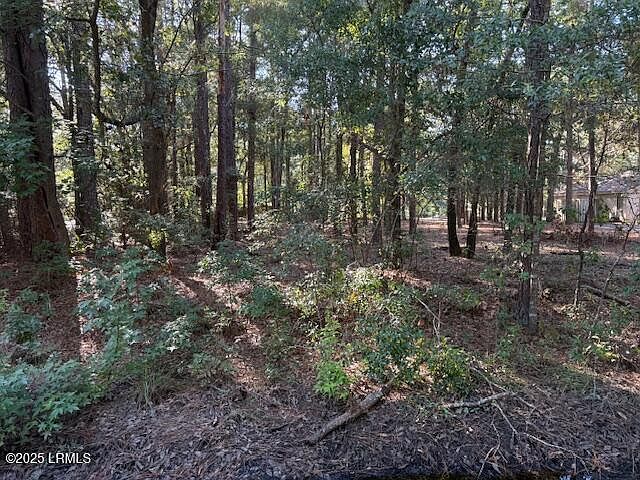 2nd image of 77 Wade Hampton Drive