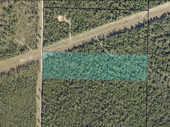 11768 Wildlife Rd, Holt, FL 32564
