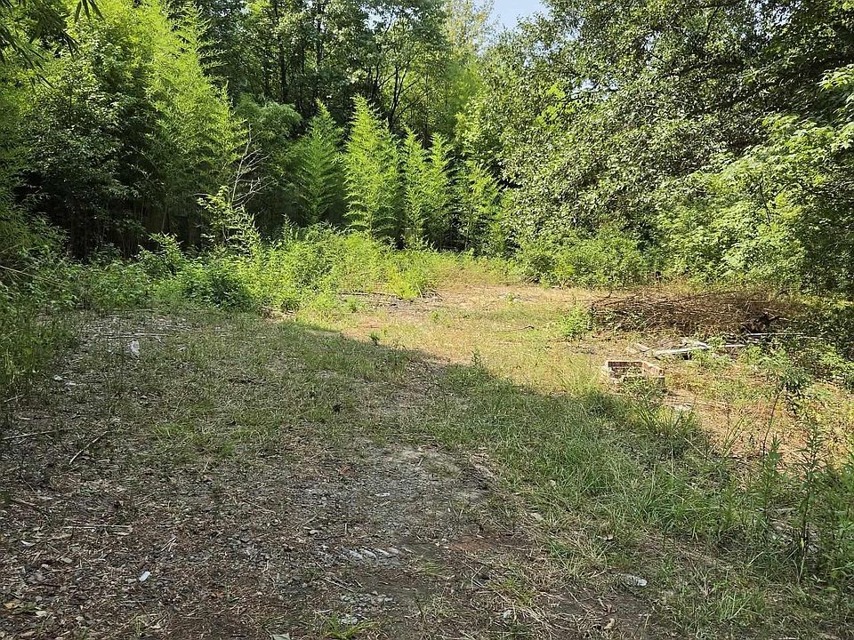 2nd image of 266 Vise Ln