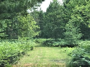 2288 Alexander Rd, Vanderbilt, MI 49795