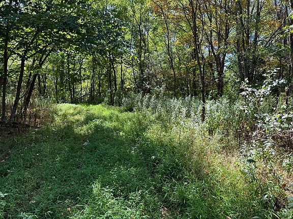 2nd image of 0 Black Walnut Rd