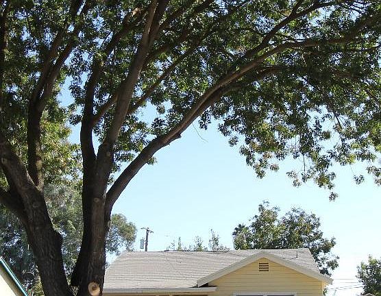 2nd image of 3904 E Lyell Ave