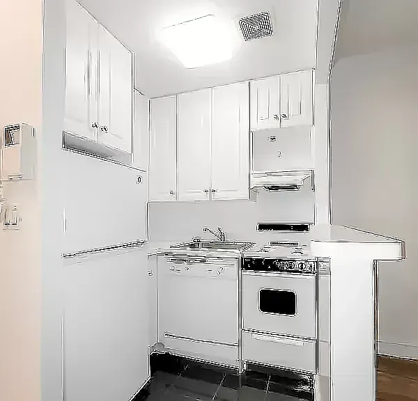 241 E 46th St #2D — Photo 3