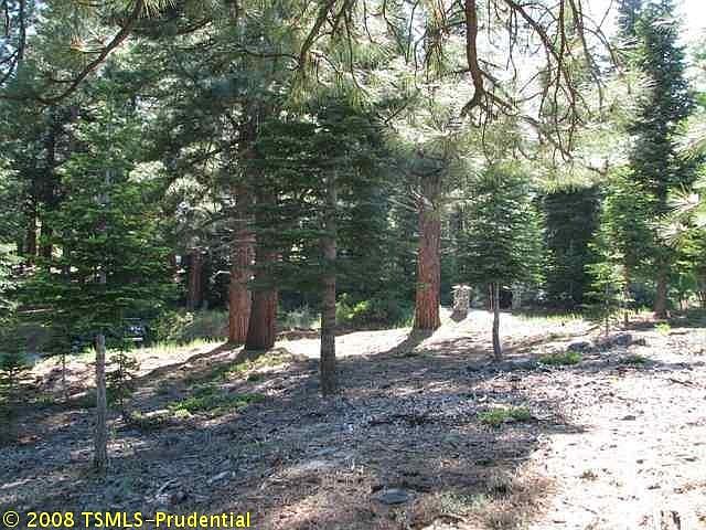 2nd image of 11165 Rancho View Ct