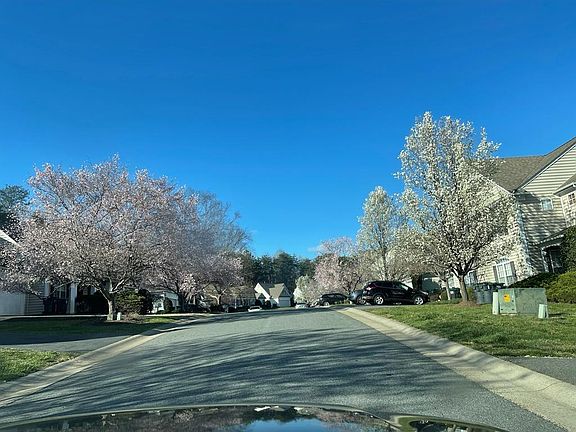 Spring in Rustic Willow lane