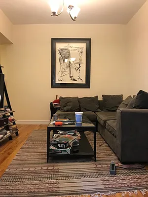 Rented by Beekman Street Realty | media 13