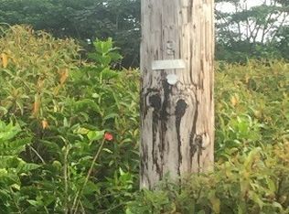 15-1878 4th Ave LOT 1286, Keaau, HI 96749