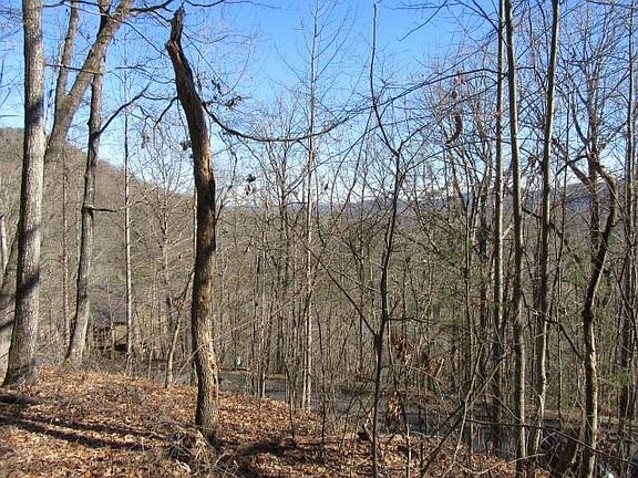 4th image of 813 Whispering Falls Dr