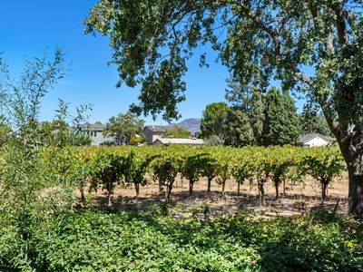 1640 Bryce Court, Napa, CA, 94558