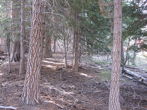 4th image of Piute Dr Lot 12