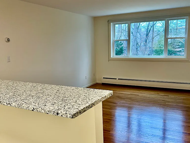 233 Elsinore St — Photo 5