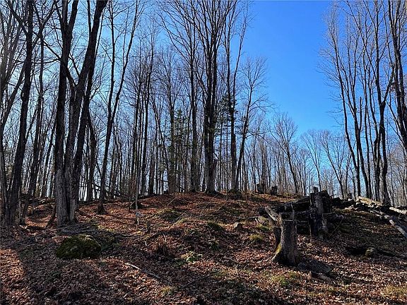 4th image of Lots 54 & 55 Wolf Island Road