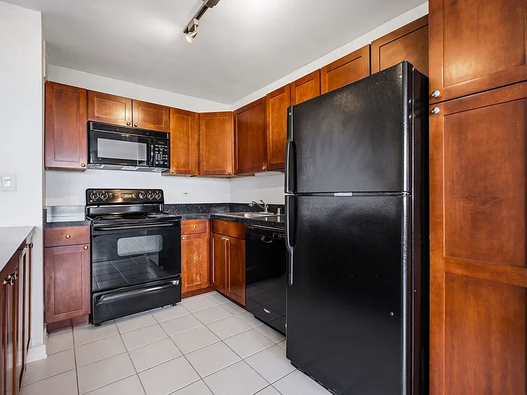 655 W Irving Park Rd #4008 — Photo 4