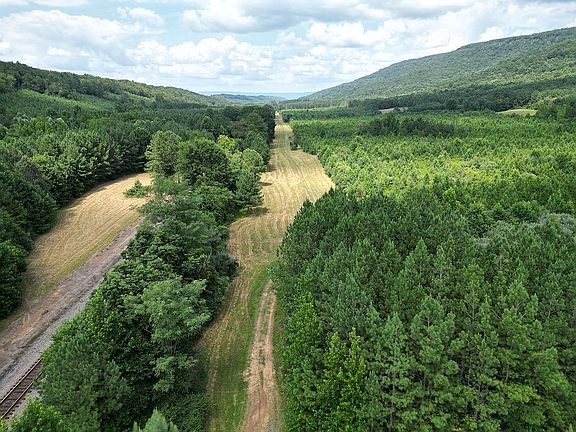 2nd image of 10941 County Road 137 #L