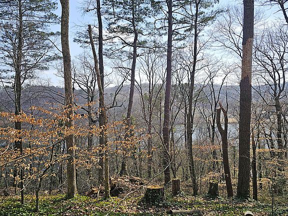 3rd image of 128 River Ridge Ln