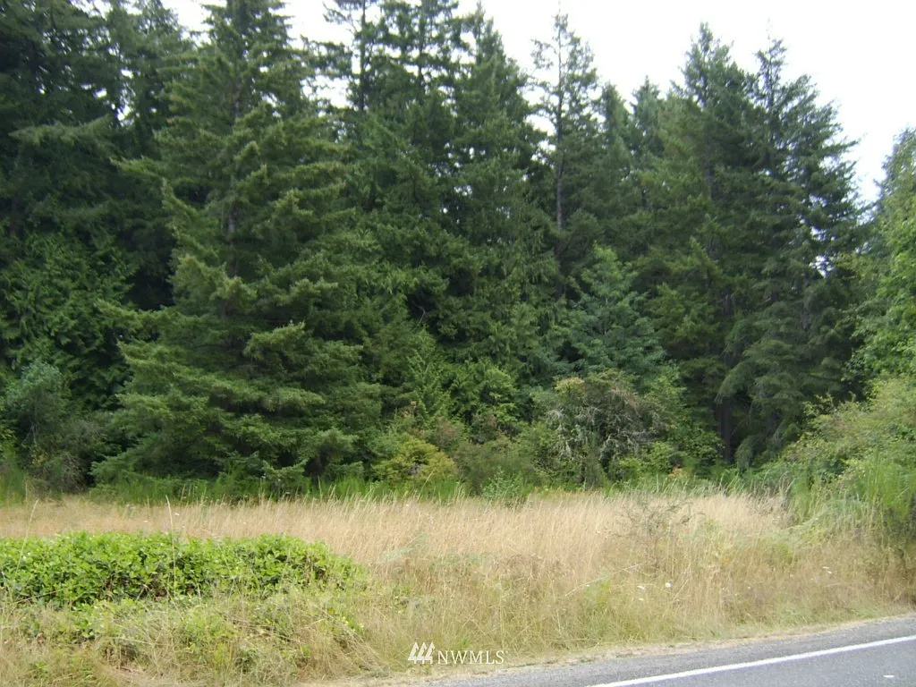 0 XXX Shincke Road NE photo 1
