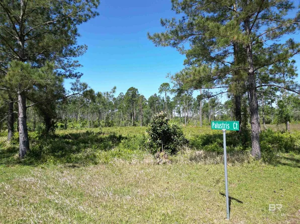 0 Palustris Ct #21, Elberta, AL 36530