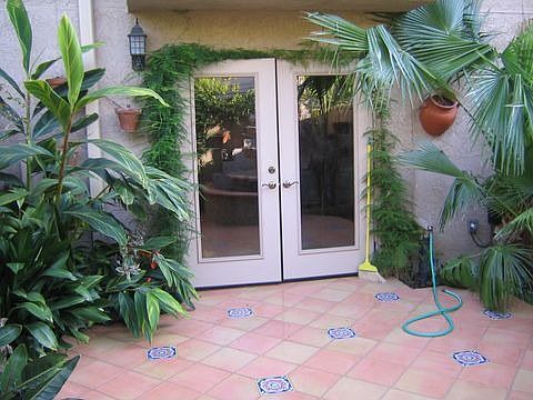 Tropical plants surround the entrance to the house 