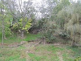 View from Deck