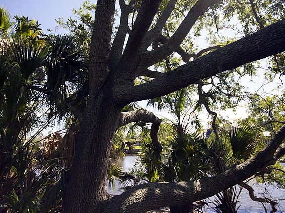 Seven Pines Island for sale Mike Jones J